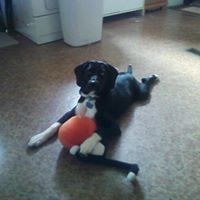 Christina Mohr Photo 9