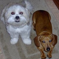 Vicki Middleton Photo 10