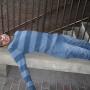 Moustafa Gaber Photo 5