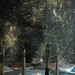 Robert Lewis Photo 10
