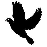 Marissa Rubin Photo 19 Marissa Rubin Photo 19