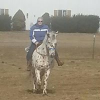 Lisa Scheid Photo 22