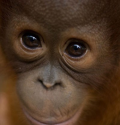 Theresa Hayes Photo 28