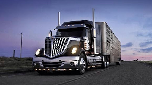 David Palumbo Photo 29