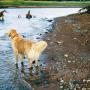 James Yoder Photo 15