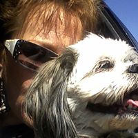 Ann Goulet Photo 20