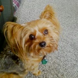 Janet Mckeown Photo 4