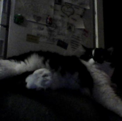 Cheryl Grogan Photo 14