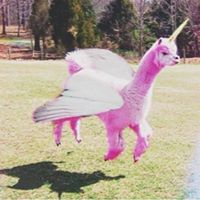 Victoria Lynch Photo 16