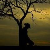 Rex King Photo 22 Rex King Photo 22