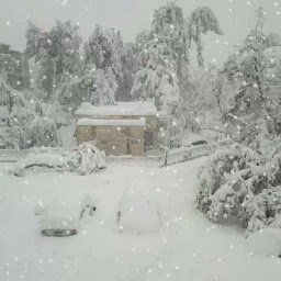 Mary Kiser Photo 12 Mary Kiser Photo 12