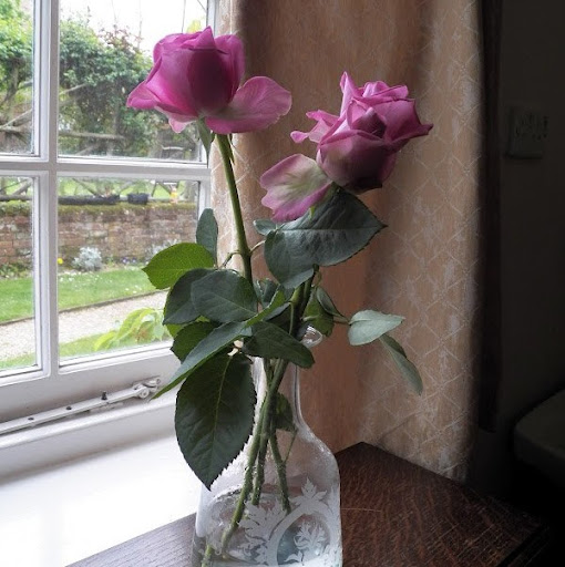 Maureen Howe Photo 31