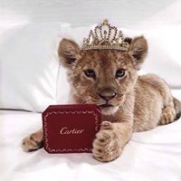 Barbara Korman Photo 6