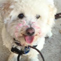 Sarah Proctor Photo 31