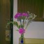 Darlene Greene Photo 23