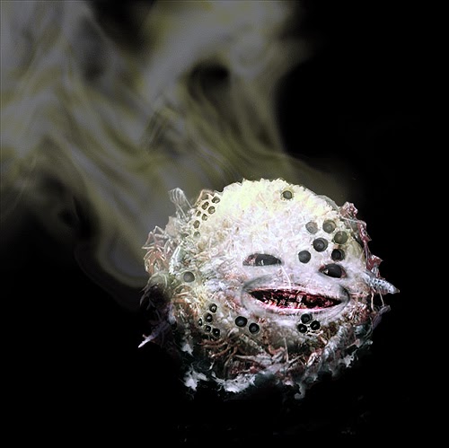 Joseph Disalvo Photo 19