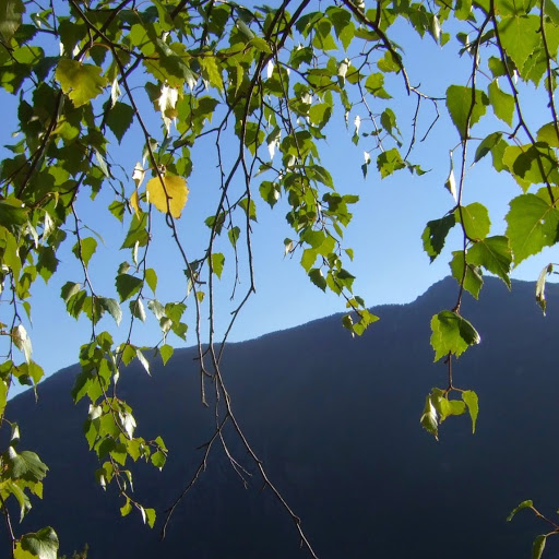 Teresa Soler Photo 27