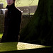 Harry Coats Photo 7