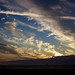 Mark Rocco Photo 8