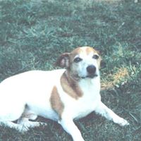 Joy Mcdonald Photo 16