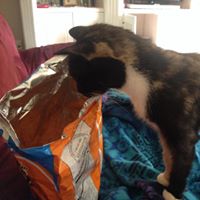 Jillian Swanson Photo 17