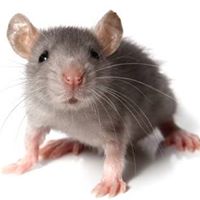 Tracey Miles Photo 36