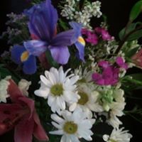 Dana Mathews Photo 16