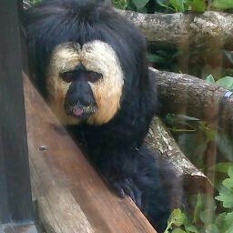 Alison Moore Photo 23