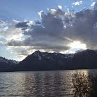 Brigitte Johnson Photo 34