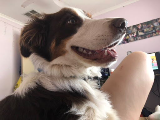 Sarah Fraser Photo 40 Sarah Fraser Photo 40