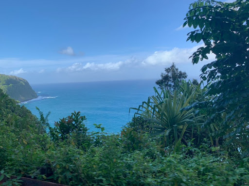 Sherri Lawrence Photo 17