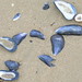 Beverly Low Photo 11