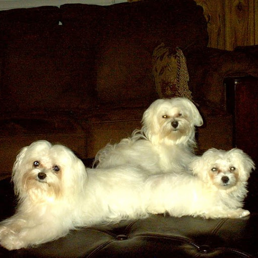 Tommy Montgomery Photo 10