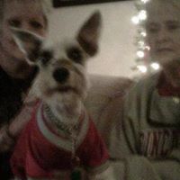 Suzanne Camp Photo 17