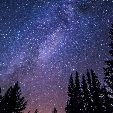 Jesse Patterson Photo 32