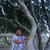 Sarah Gause Photo 19