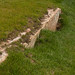 Lawrence Bishop Photo 31