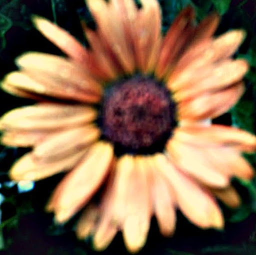 Kelly Skinner Photo 7