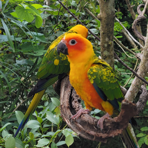 Robert Crooks Photo 11