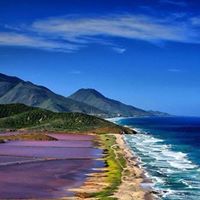 Sadie Matthews Photo 7