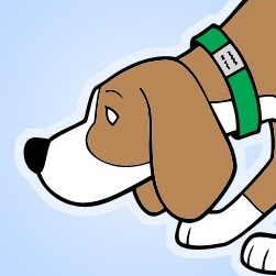 Ann Morrison Photo 25 Ann Morrison Photo 25