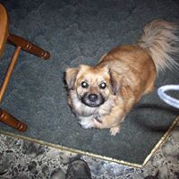 Sammy Short Photo 22