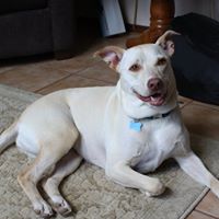 April Compton Photo 10