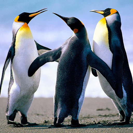 Andrea Peters Photo 30