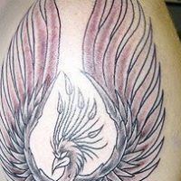 Daniel Ervin Photo 33