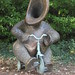 Gregory Stevens Photo 34