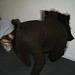 Kathy Hauser Photo 17