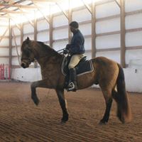 Jerome Lang Photo 25