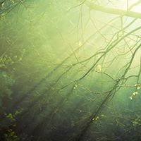 Catherine Cookson Photo 11 Catherine Cookson Photo 11