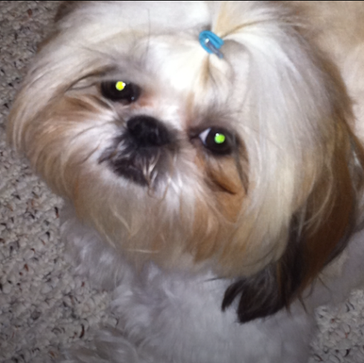 Dinora Ramirez Photo 12